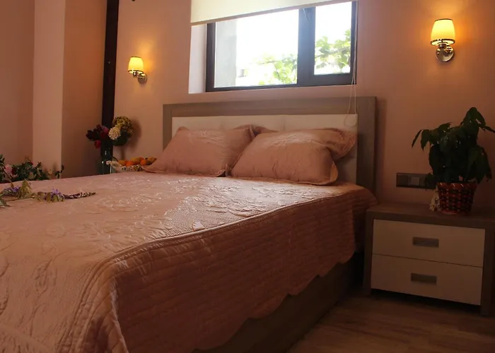 Kocca Ev 3* 达特恰