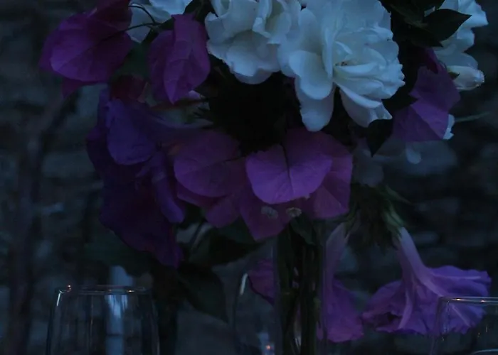 Kocca Ev 3* 达特恰